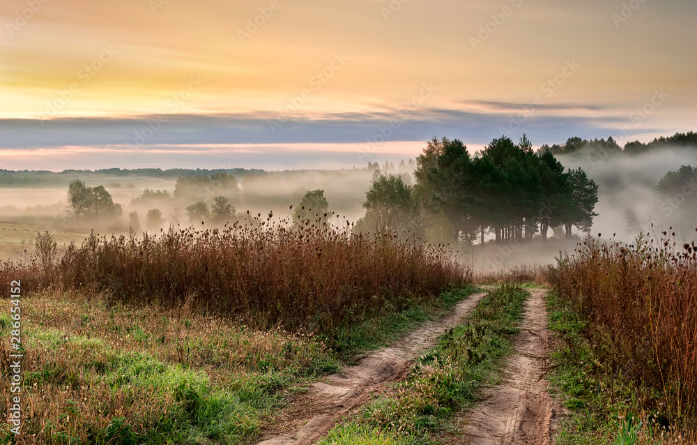 Morning and autumn road in the fog. Autumn landscape. Beautiful view of the vastness in the fog Morning and autumn road in the fog. Autumn landscape. Beautiful view of the vastness in the fog