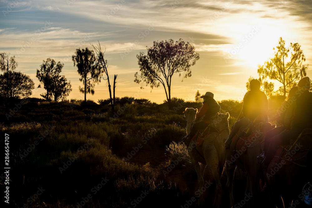 People silhoutted on camels at sunrise, Uluru-Kata Tjuta National Park, NT, Australia