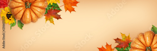 Ripe orange pumpkins with a...