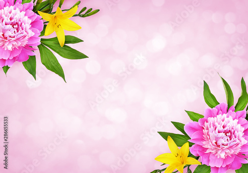 Pink peony flowers with yel...