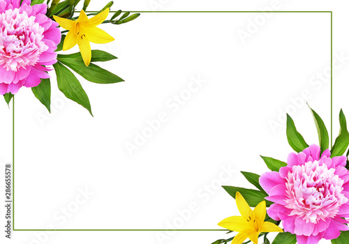 Pink peony flowers with yel...