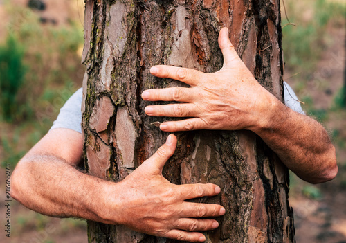 Couple of senior adult hands hugging a tree in the woods - love for outdoors and nature - earth's day concept with people protecting the trees from deforestation