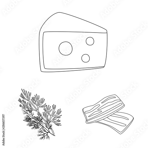 Isolated object of seasonin and ingredient symbol. Collection of seasonin and aroma stock symbol for web.