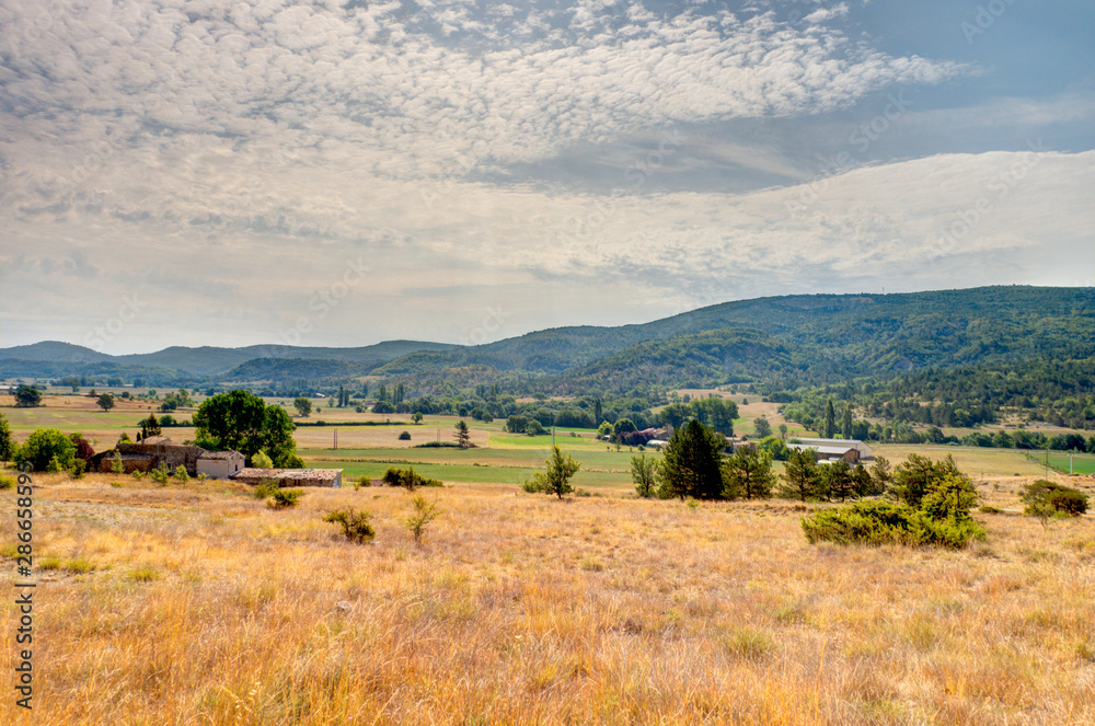 Countryside in Provence, near the Montagne de Lure