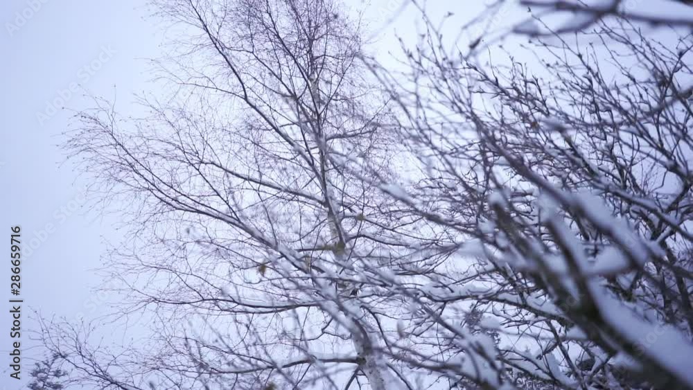 Cloudy winter day with heavy snowfall in slow motion. Cinematic wide angle shot Cloudy winter day with heavy snowfall in slow motion. Cinematic wide angle shot