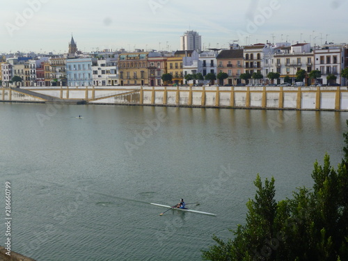 Calle Betis Sevila photo