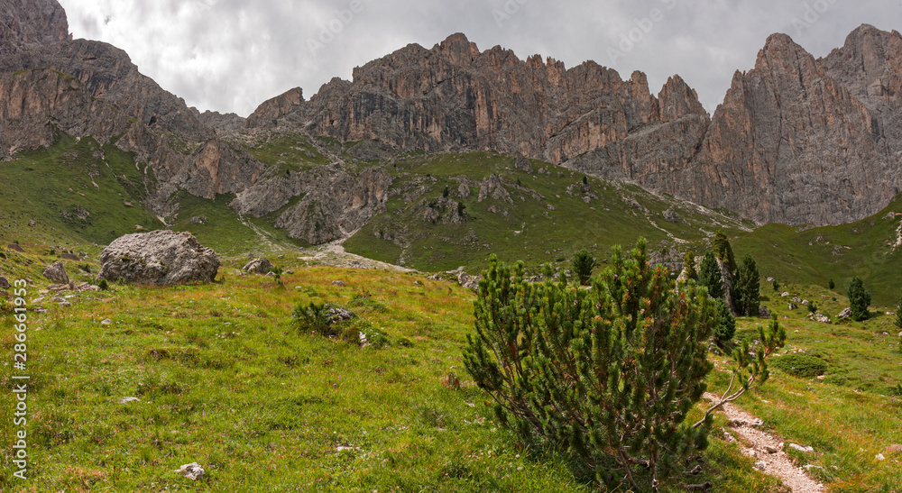 Panoramic view of towers and peaks of the Dolomites of the Catinaccio group Panoramic view of towers and peaks of the Dolomites of the Catinaccio group