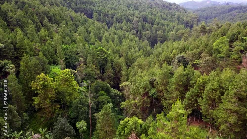 Aerial view of forest in West Java Indonesia Aerial view of forest in West Java Indonesia