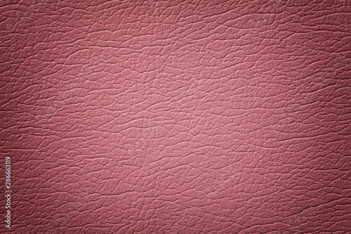 Dark rose leather texture background, closeup. Pink cracked backdrop from wrinkle skin