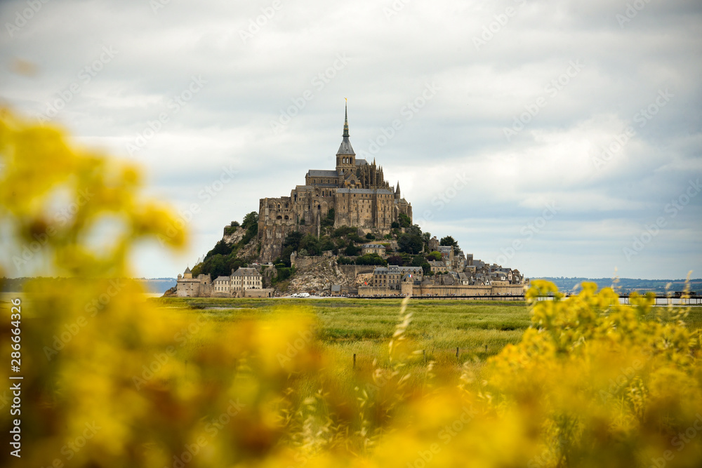 Vue sur le mont saint michel