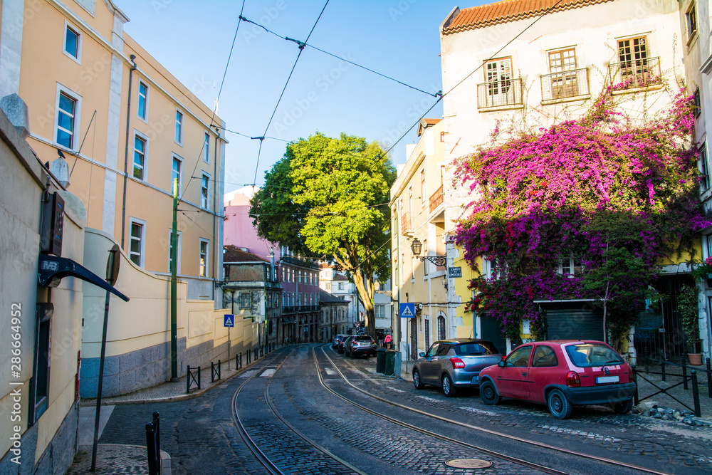 Obraz premium リスボンのアルファマ地区 Alfama, Lisbon, Portugal