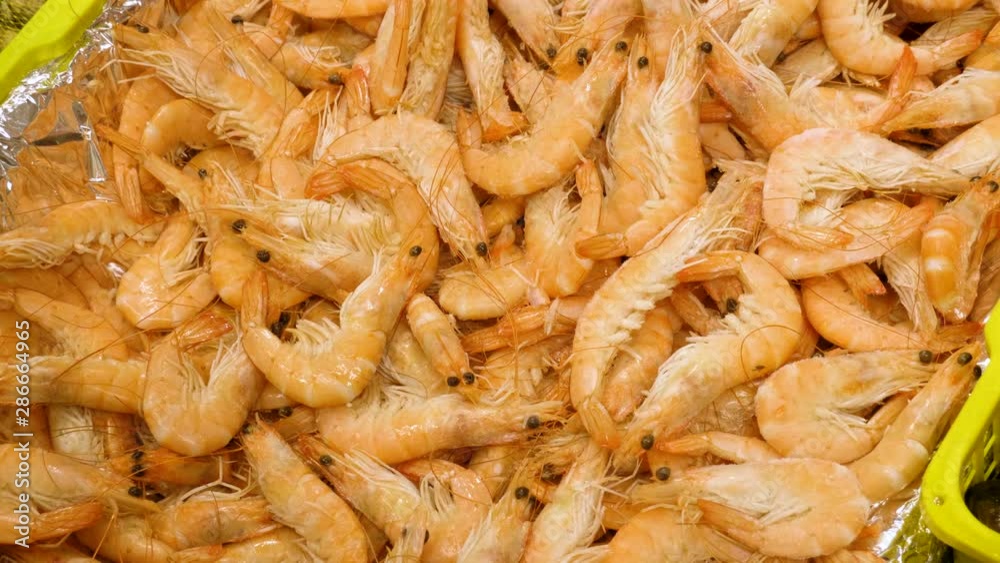 Seafood, shellfish, marine products. Close-up shot of fresh shrimp. 4K Seafood, shellfish, marine products. Close-up shot of fresh shrimp. 4K