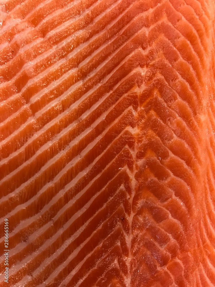 fresh raw salmon on a white background