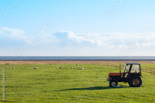 Icelandic rural landscape. View of farmland agricultural field with a tractor, countryside grazing sheep with sea and sky background in Southern Iceland, Scandinavia
