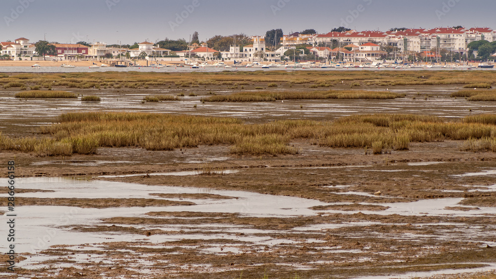 Obraz premium Marshlands in Punta Umbria In the province of Huelva