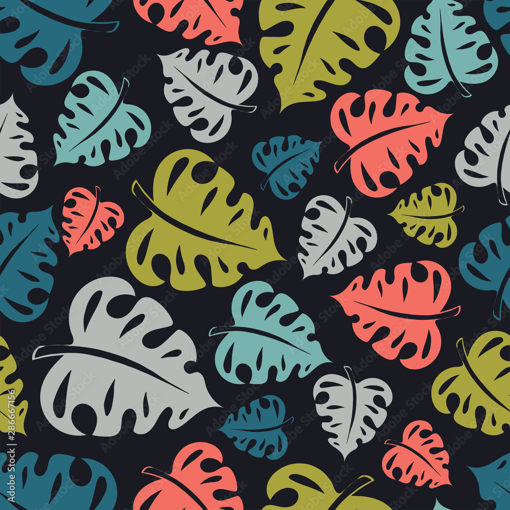 Monstera Marvel Dark Background Monstera Marvel Dark Background