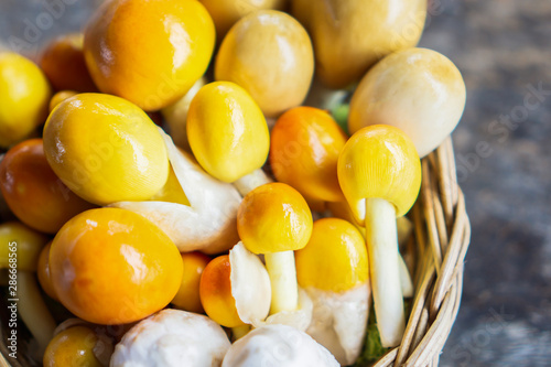 fresh Thai yellow Amanita mushrooms in wooden basket closeup   photo