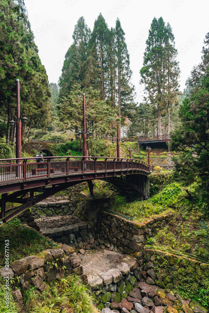 Landscape of the misty cypress and cedar forest and bridge in Alishan National Forest Recreation Area in winter in Chiayi County, Alishan Township, Taiwan. Landscape of the misty cypress and cedar forest and bridge in Alishan National Forest Recreation Area in winter in Chiayi County, Alishan Township, Taiwan.