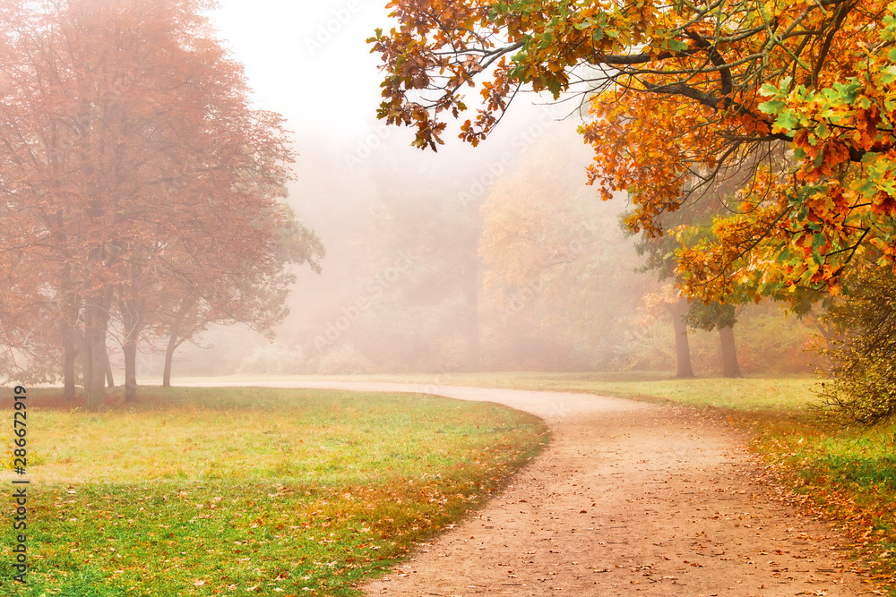 Path in the autumn park, beautiful fall season foggy landscape