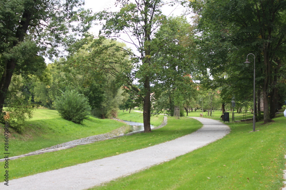 Obraz premium path in the park