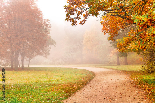 Path in the autumn park  beautiful fall season foggy landscape