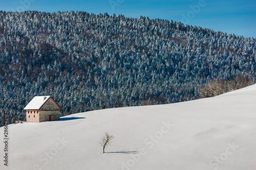 The plateau of Cansiglio
