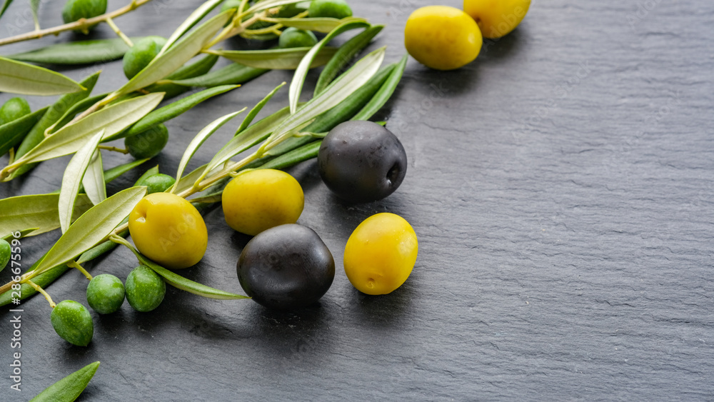 Freshly harvested green and black olives next to branches with leaves and olives on a grey stone background with copy space for your text. Natural background. ECO products. Freshly harvested green and black olives next to branches with leaves and olives on a grey stone background with copy space for your text. Natural background. ECO products.