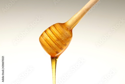 Honey Dripping from a Honey Dipper