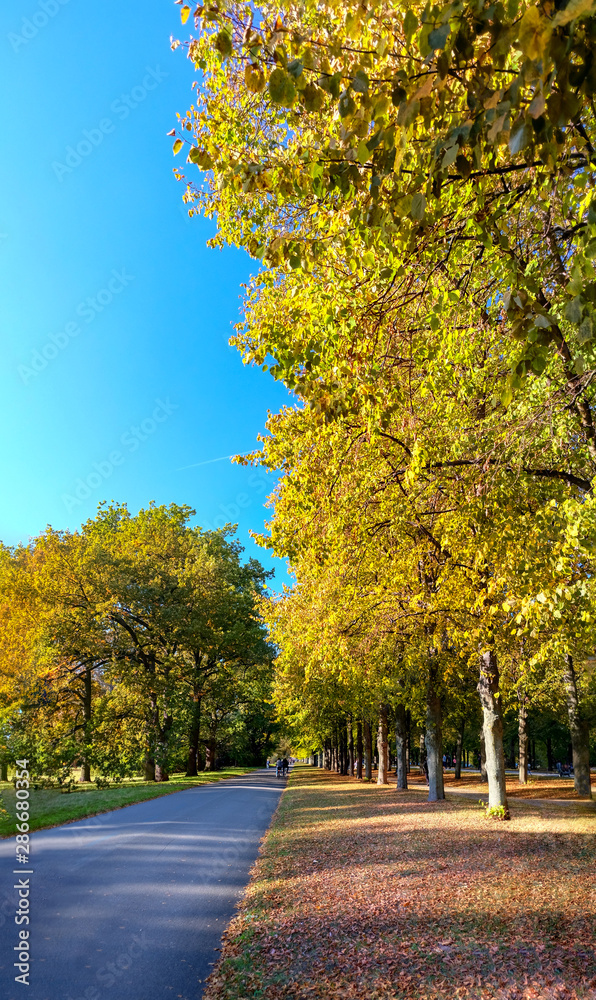 Path in the autumn park. Sunlight. Walking. Landscape. Path in the autumn park. Sunlight. Walking. Landscape.