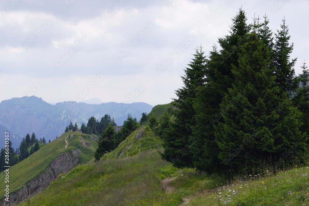Mountain, trees in the foreground Mountain, trees in the foreground