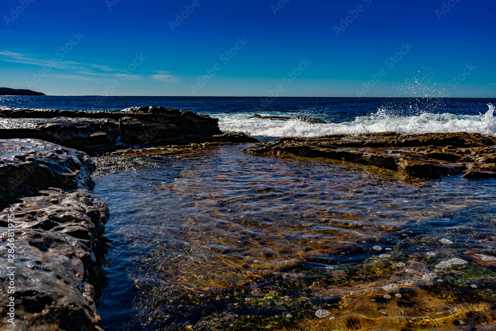 dee why beach dee why beach