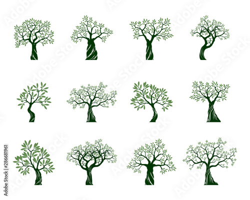 Set of Olive Trees on white background. Vector Illustration and concept pictogram.
