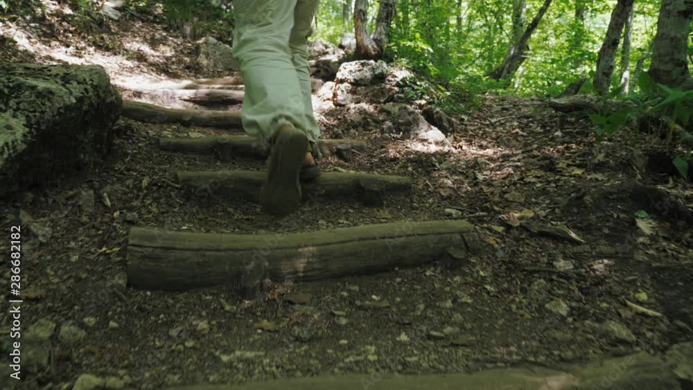 A group of tourists with wooden sticks in their hands are walking in the mountain forest along the hiking trail of the natural national park.
