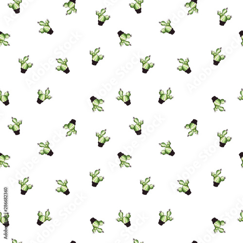 Seamless cactus pattern. Repetitive hand draw objects of green, rose, yellowish and black colors. © Dalia