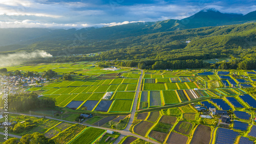 Japanese paddy field scenery shining in the sunset