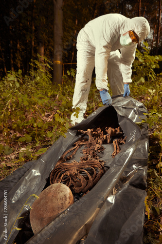 Tablou pe pânză Collecting of human remains to plastic body bag by police technician for observi