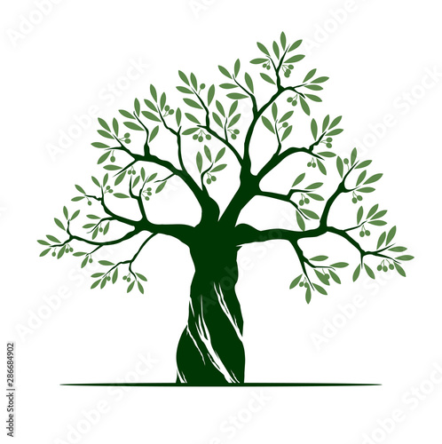 Olive tree on white background. Vector Illustration and concept pictogram.
