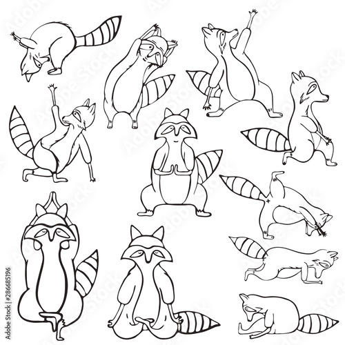 Doodle outline set of raccoon do yoga