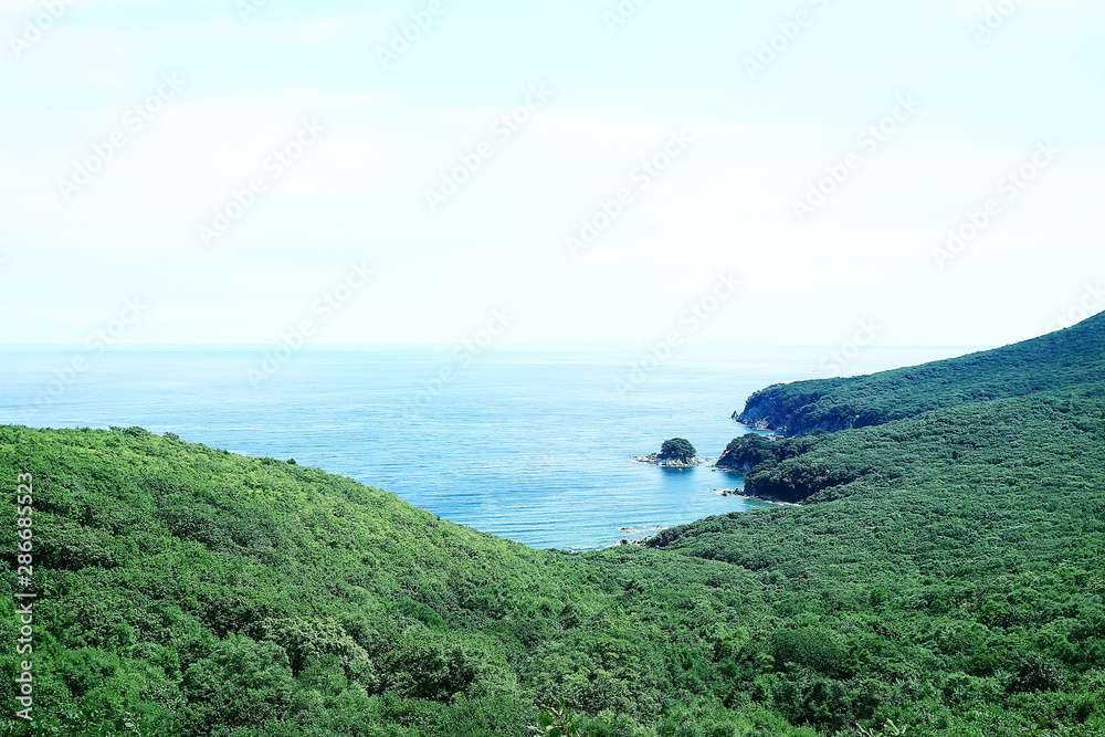 high seashore greenery of the cliff