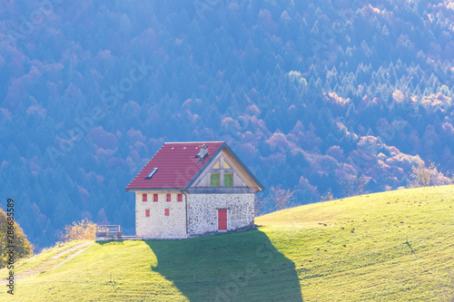 The plateau of Cansiglio photo