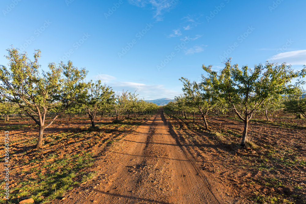 Obraz premium End of the World, Spectacular panorama of the deserts of Granada In Guadix (Spain)