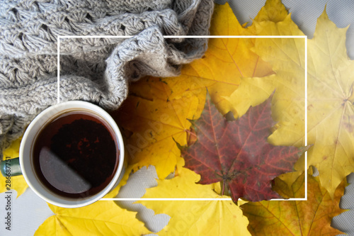 Autumn leaves, cup of coffee, warm scarf on the table. Seasonal, book reading, Sunday relaxing and still life concept. Selective focus.
