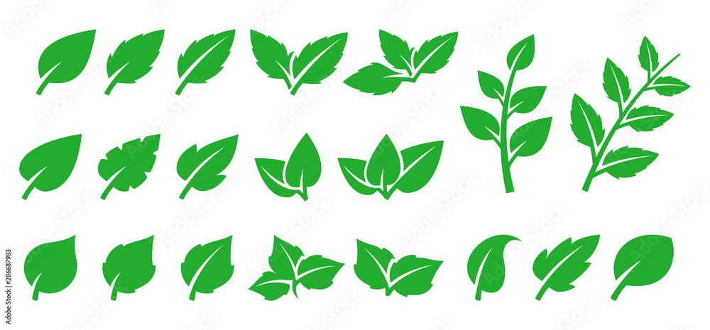 Plakat Zestaw zielonych liści