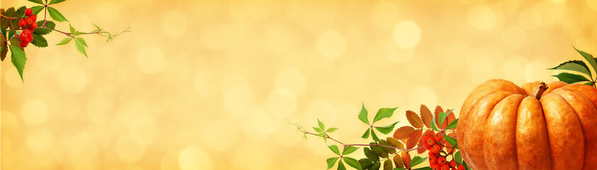Soft background with large orange pumpkin, rowanberries and green autumn leaves