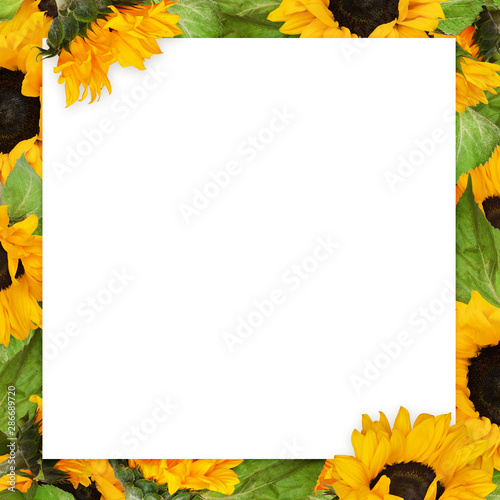 White card with yellow sunf...