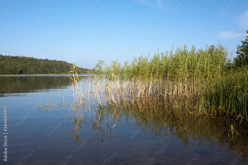 Summer scenery, Lappeenranta Finland