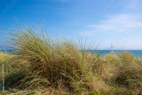 Summer on sunny english beach view.Summer background concept