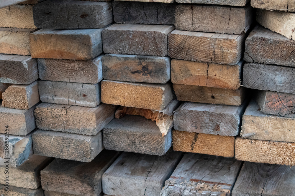 Obraz premium wooden planks