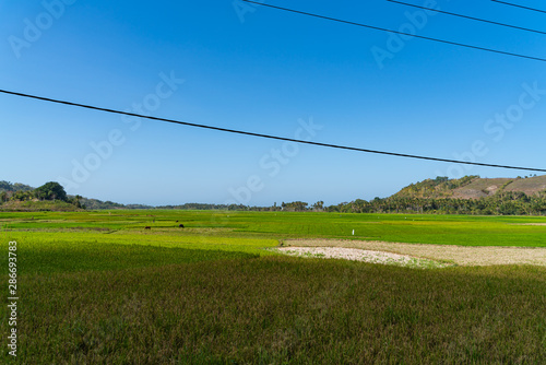 Sumba Island 5
