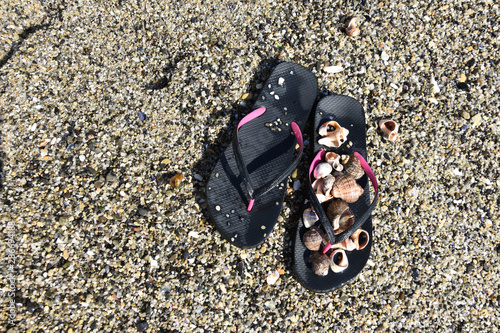 Left on the sand wet black flip-flops, bunch of seashells on one of them. Hot summer day on the beach. Sea holiday symbol